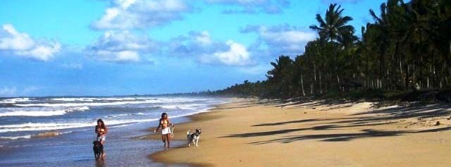 Strand von Canavieiras / Bahia in Brasilien